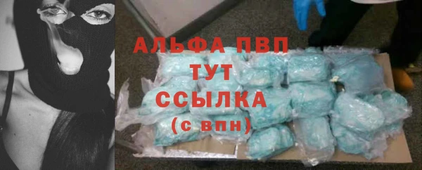 МДПВ Дмитриев